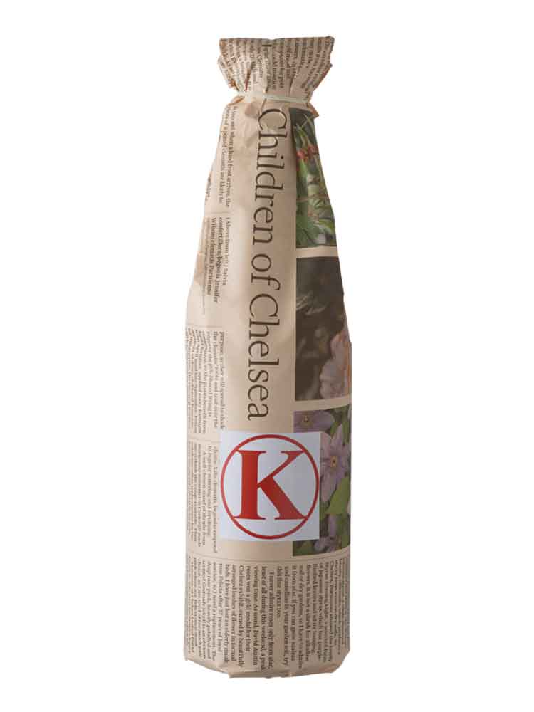 OKUTANBA SUPER DRY K