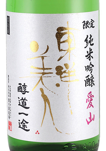 TOYOBIJIN JUNDO ICHIZU AIYAMA