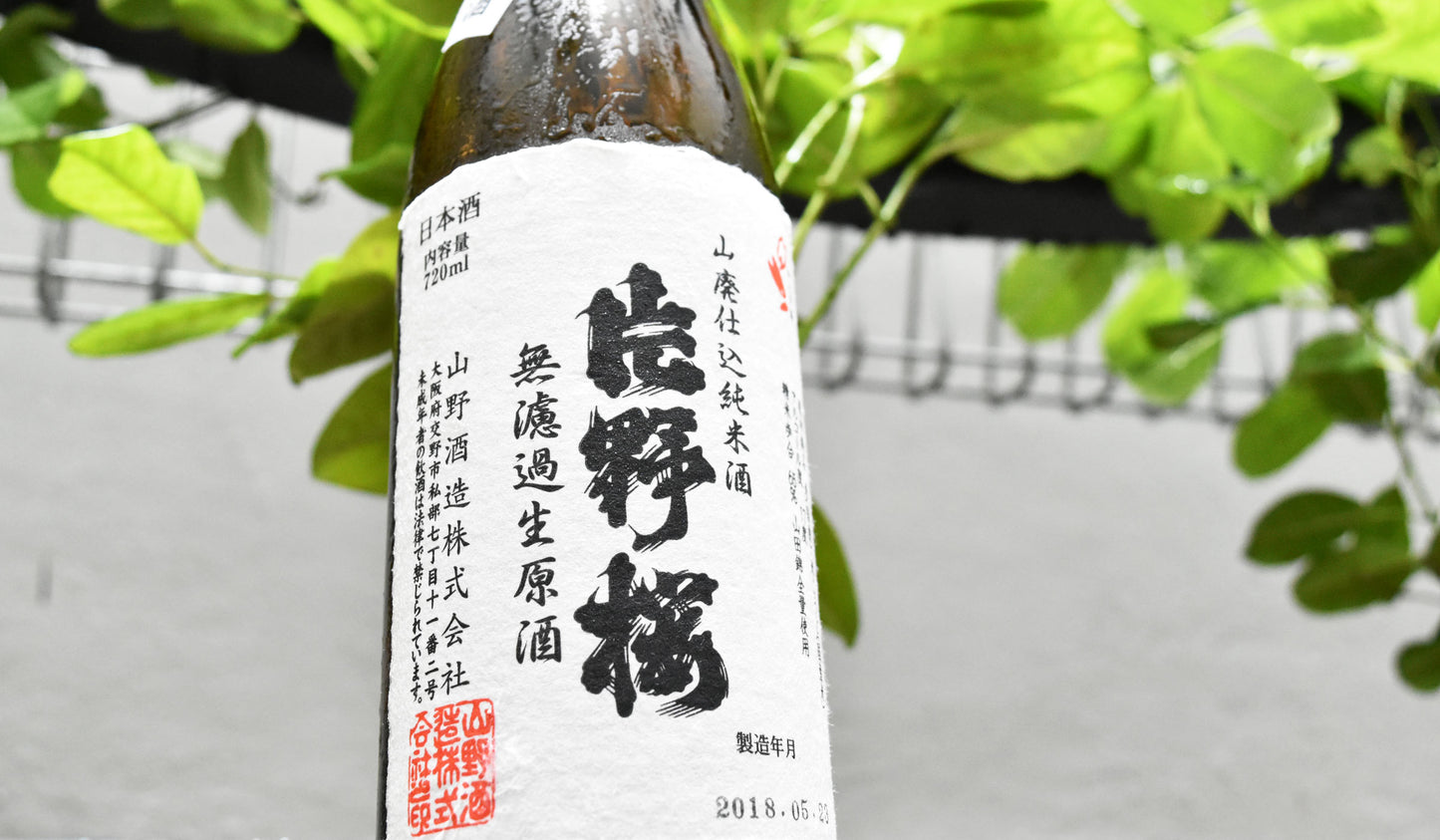 KATANOSAKURA YAMAHAI MUROKA NAMA GENSHU