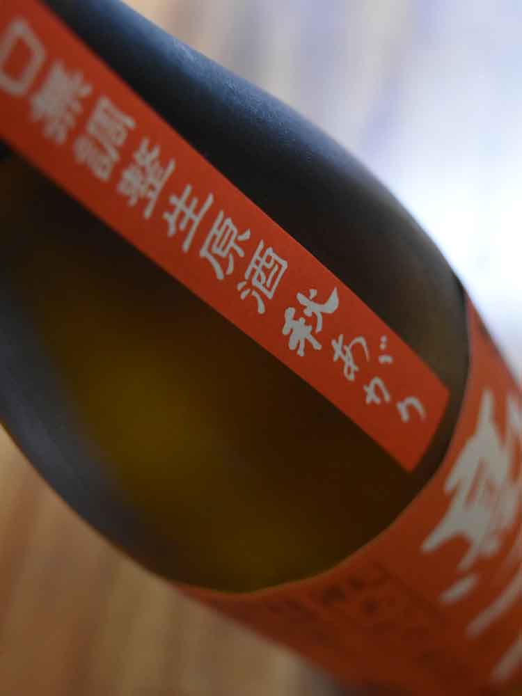 TAKACHIYO JUNMAI +19 AUTUMN LIMITED SUPER DRY MUROKA NAMA GENSHU